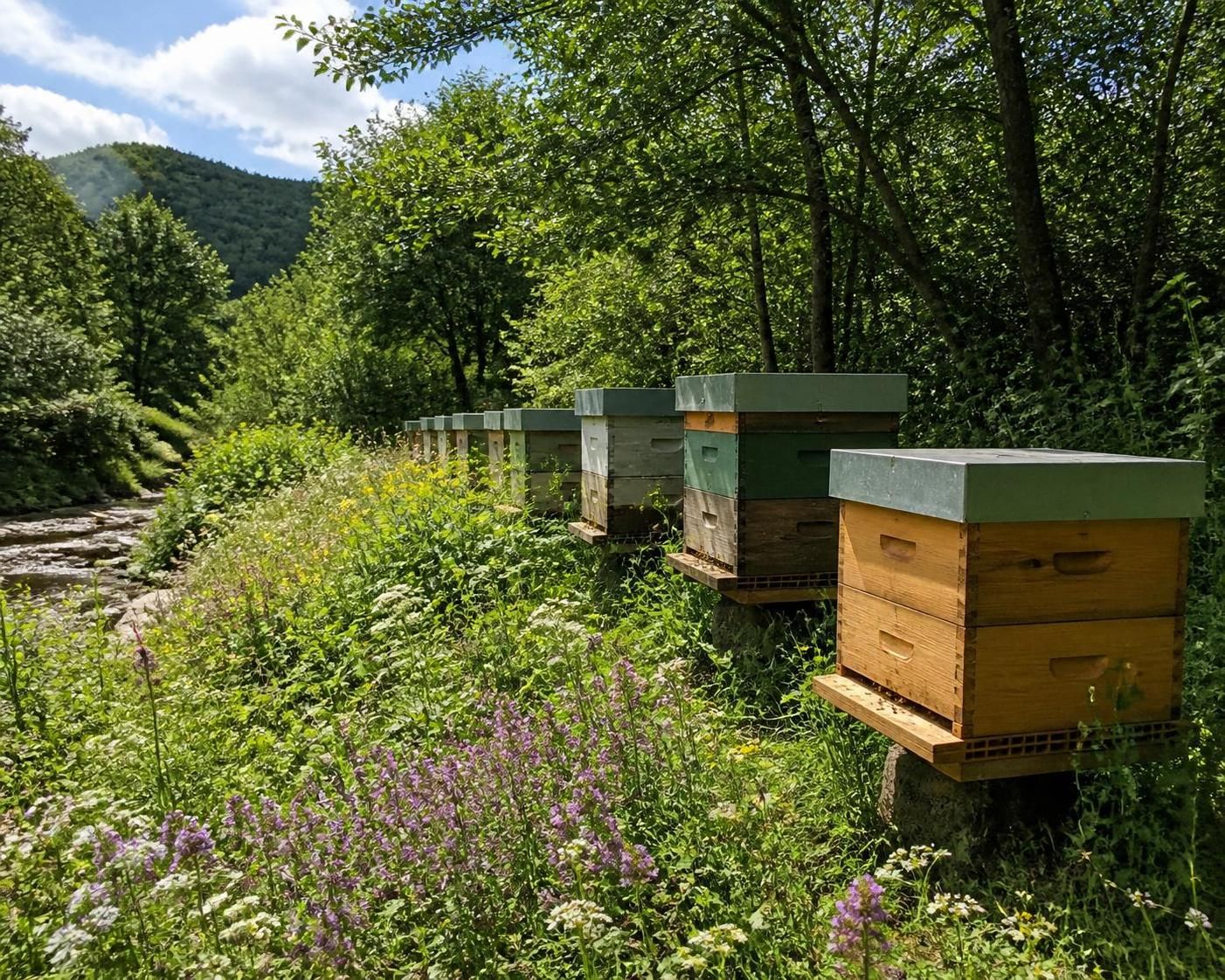 découvrez les enjeux essentiels pour la préservation de l'abeille noire en france et les actions clés à mener pour protéger cette espèce pollinisatrice unique.