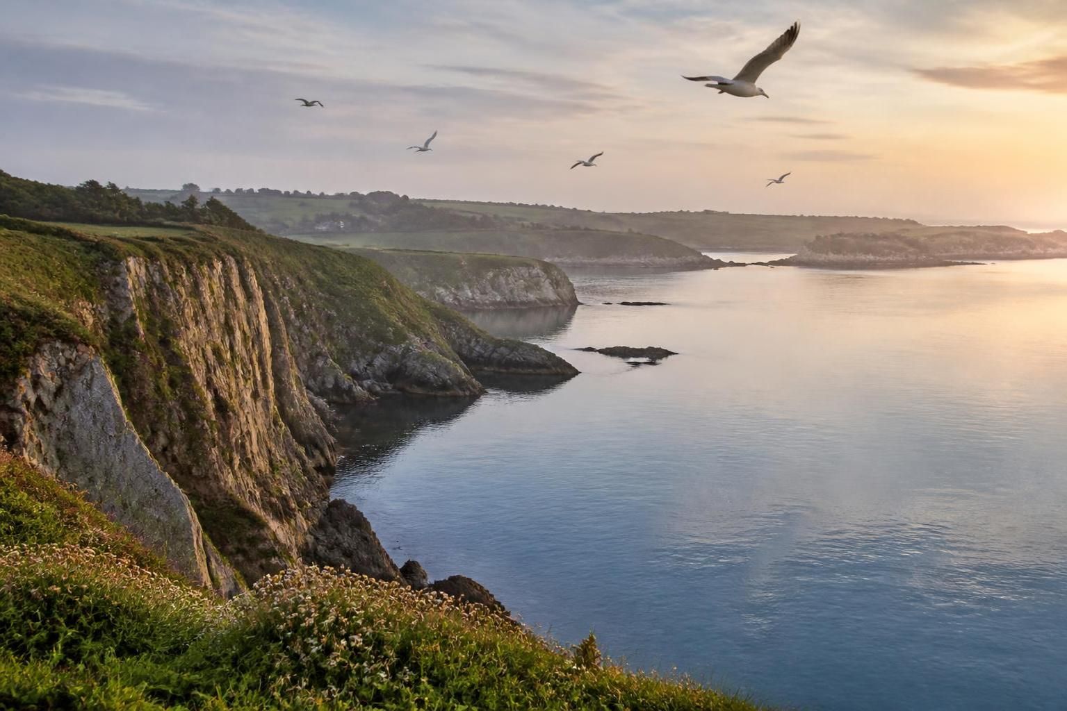 découvrez où observer les animaux sauvages en bretagne et profitez d'une immersion unique au cœur de la faune locale dans son habitat naturel.