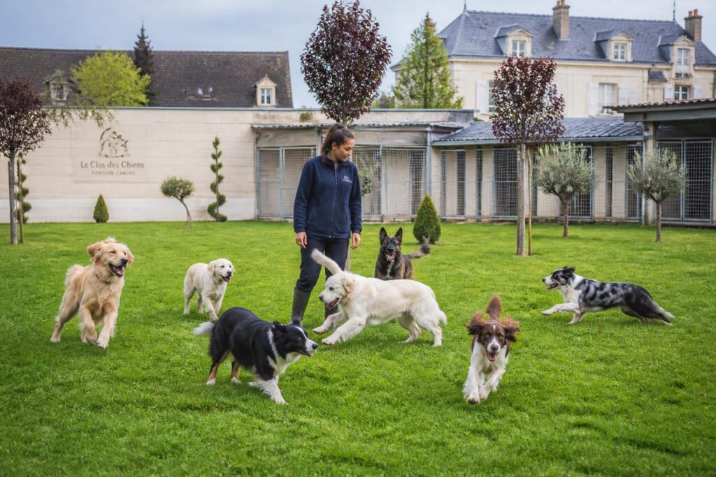 découvrez comment trouver une pension pour chien fiable en île-de-france et ses environs, pour garantir le bien-être et la sécurité de votre animal pendant votre absence.